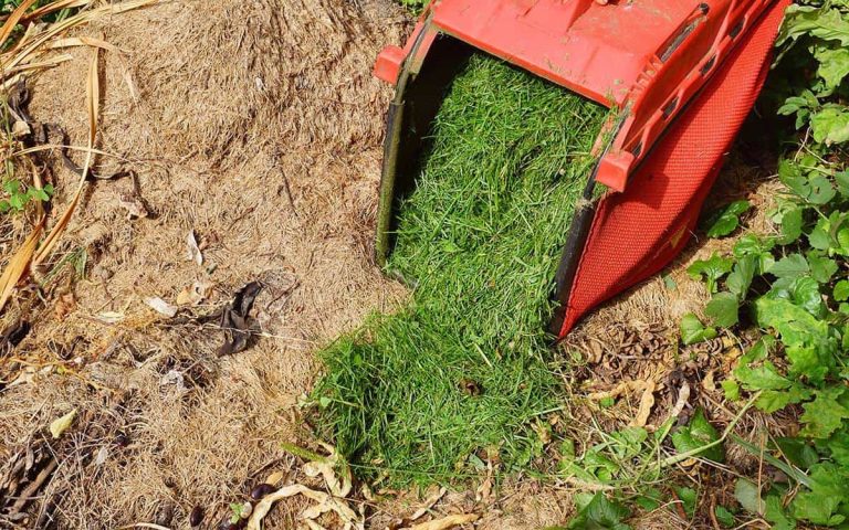 Can I Cover Grass Seed With Grass Clippings