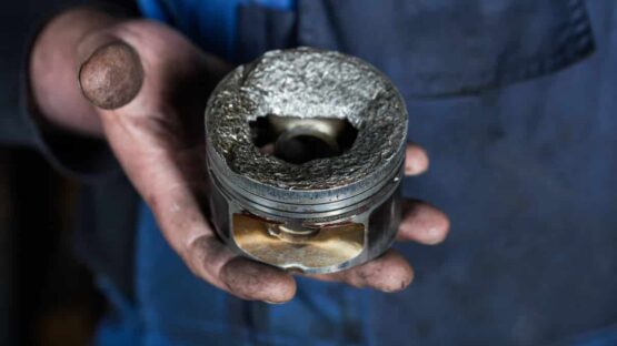 Does Lifter Tick Go Away When Warm