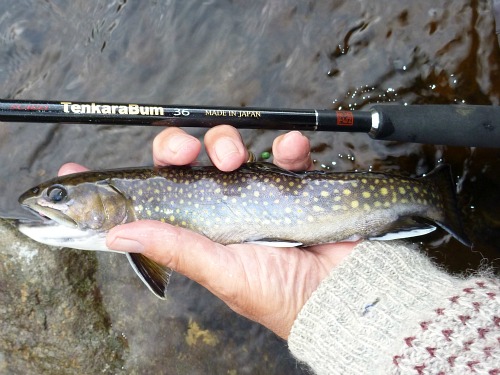Tenkara Rod Co Vs Tenkara Usa