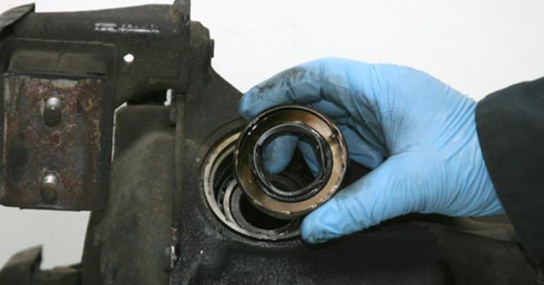Wheel Seal Vs Axle Seal