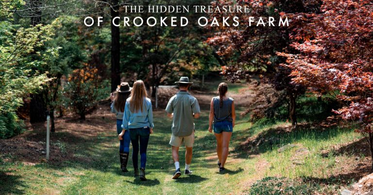 Why Do I Always Park Crooked